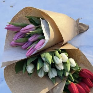 Field Cut Tulips - April Only