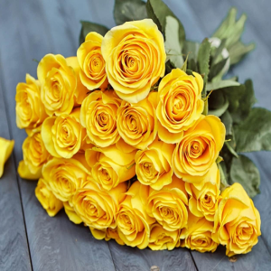 Yellow Roses